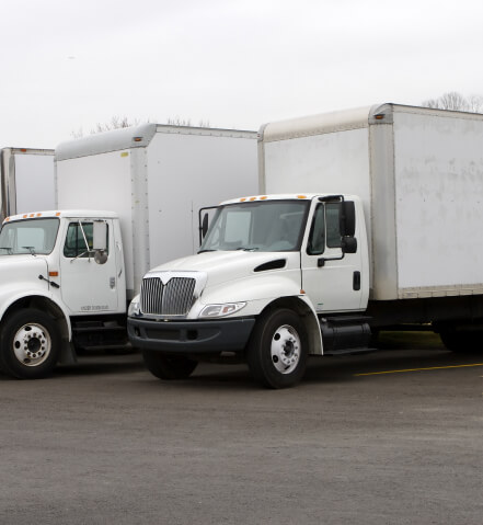 A line of white box trucks parked in a row.